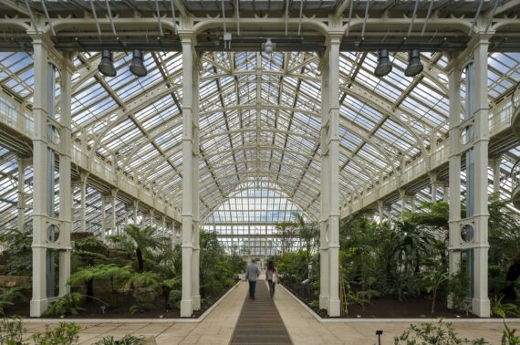 Temperate House shortlisted for WAF Award